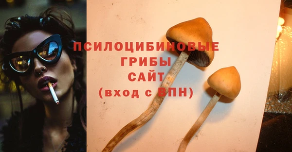 гашик Армянск