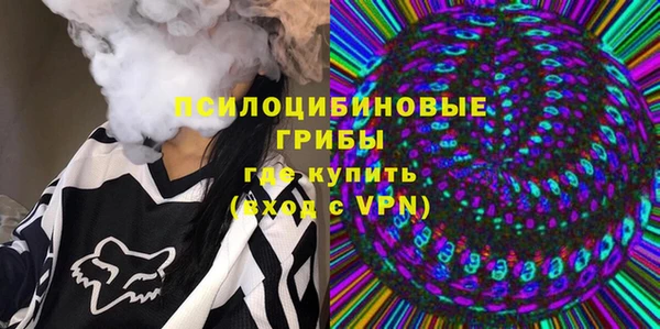 СК Аркадак