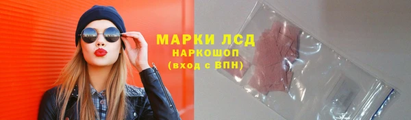 СК Аркадак