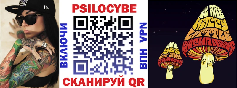 цена   Ряжск  Галлюциногенные грибы Cubensis 